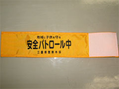 �u���S�p�g���[�����v�r��